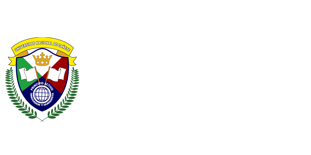Universidad Nacional de Cañete